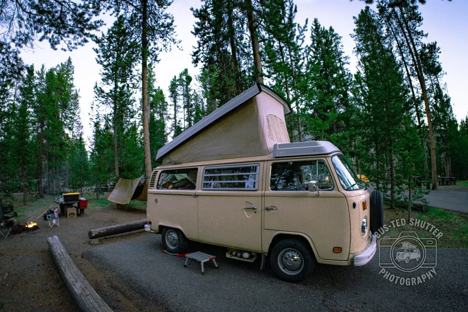 Vintage Volkswagen camper van at a wooded campsite