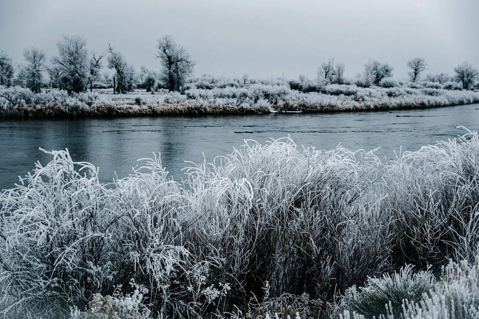 Blue River Bend — Winter, blue hour