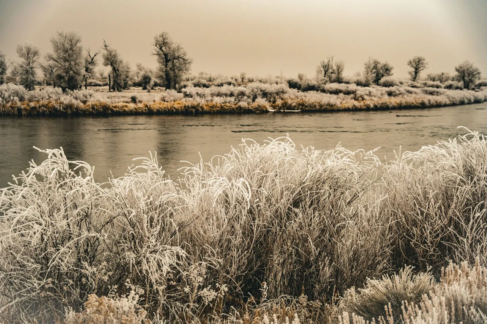 Golden River Bend — Winter, golden hour