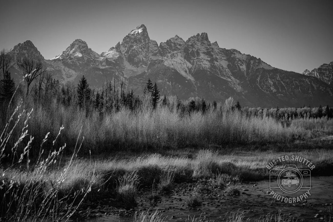 Range and Grass — Grand Teton, WY