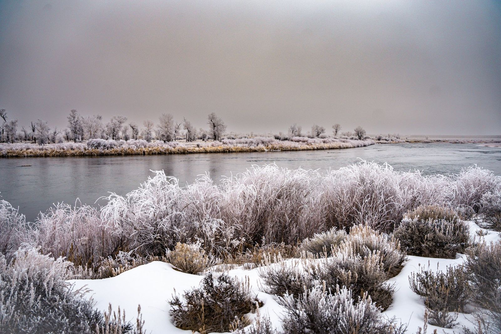 Frosted river bend winding through snowy sagebrush at dawn